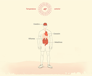 Alertas sanitarias calor