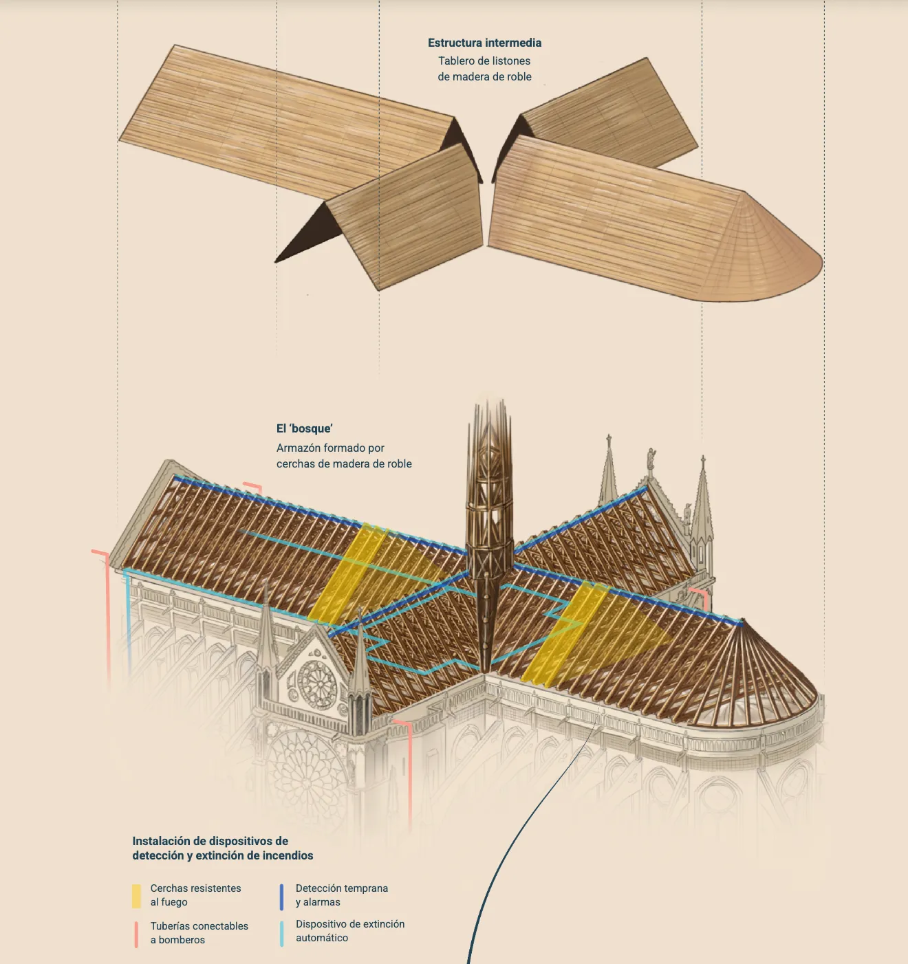 Detalle de la estructura reconstruida