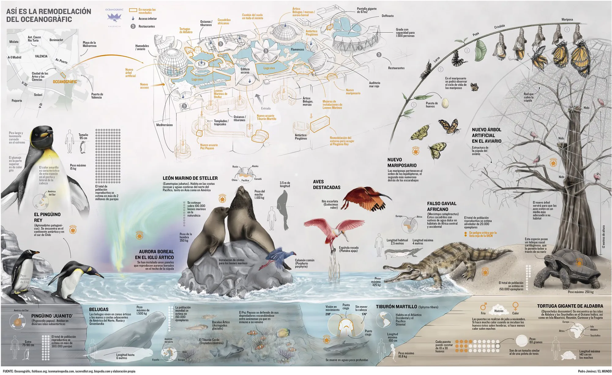 Especies del Oceanográfic de Valencia
